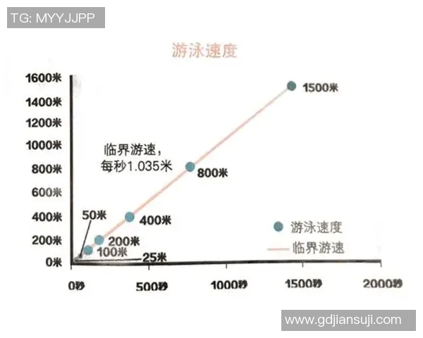 自由泳技巧解析:提高速度与耐力的关键要素及训练方法