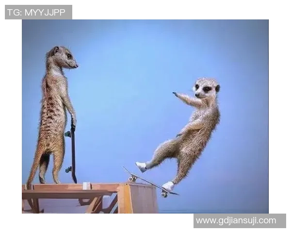 西安滑板队的灵活性探秘与发展之路分析
